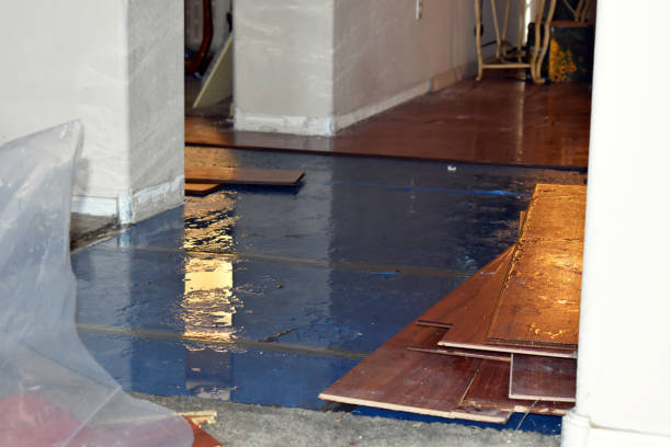 Professional Basement Water Removal technician working in Trenton, OH